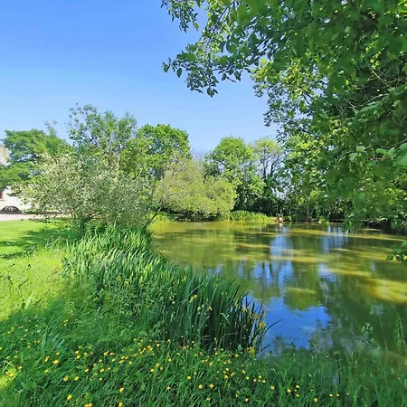 Casa de Férias Manoir Du Xveme Siecle Avec Jardin Prive, Cheminee Et Animaux Acceptes - Fr-1-497-204 Colombiers (Orne)
